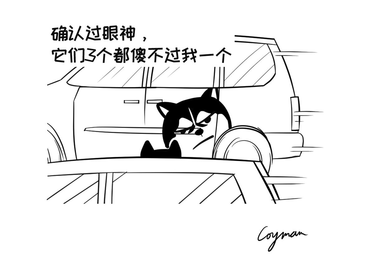 《花生社区》确认过眼神 第4页
