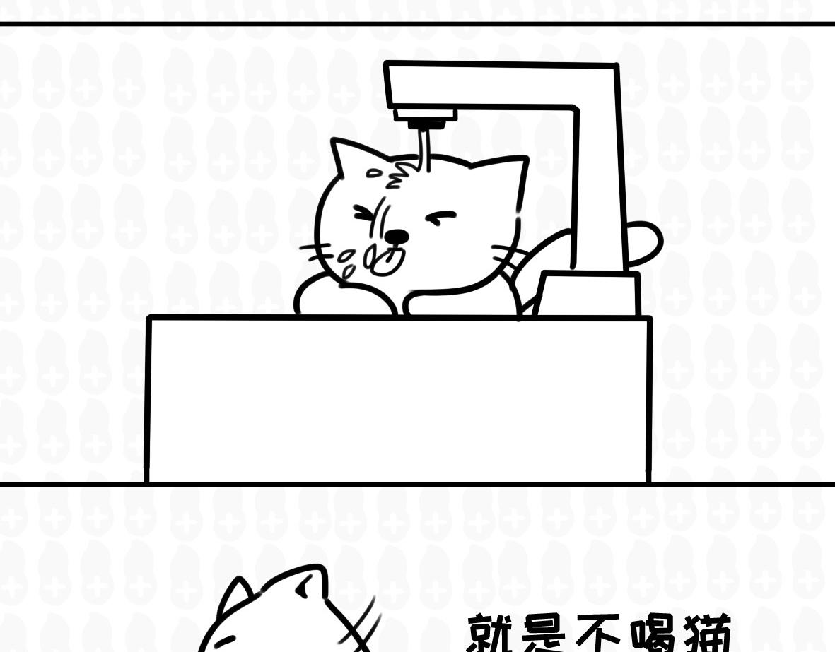 《花生社区》猫的作死等级（2） 第11页