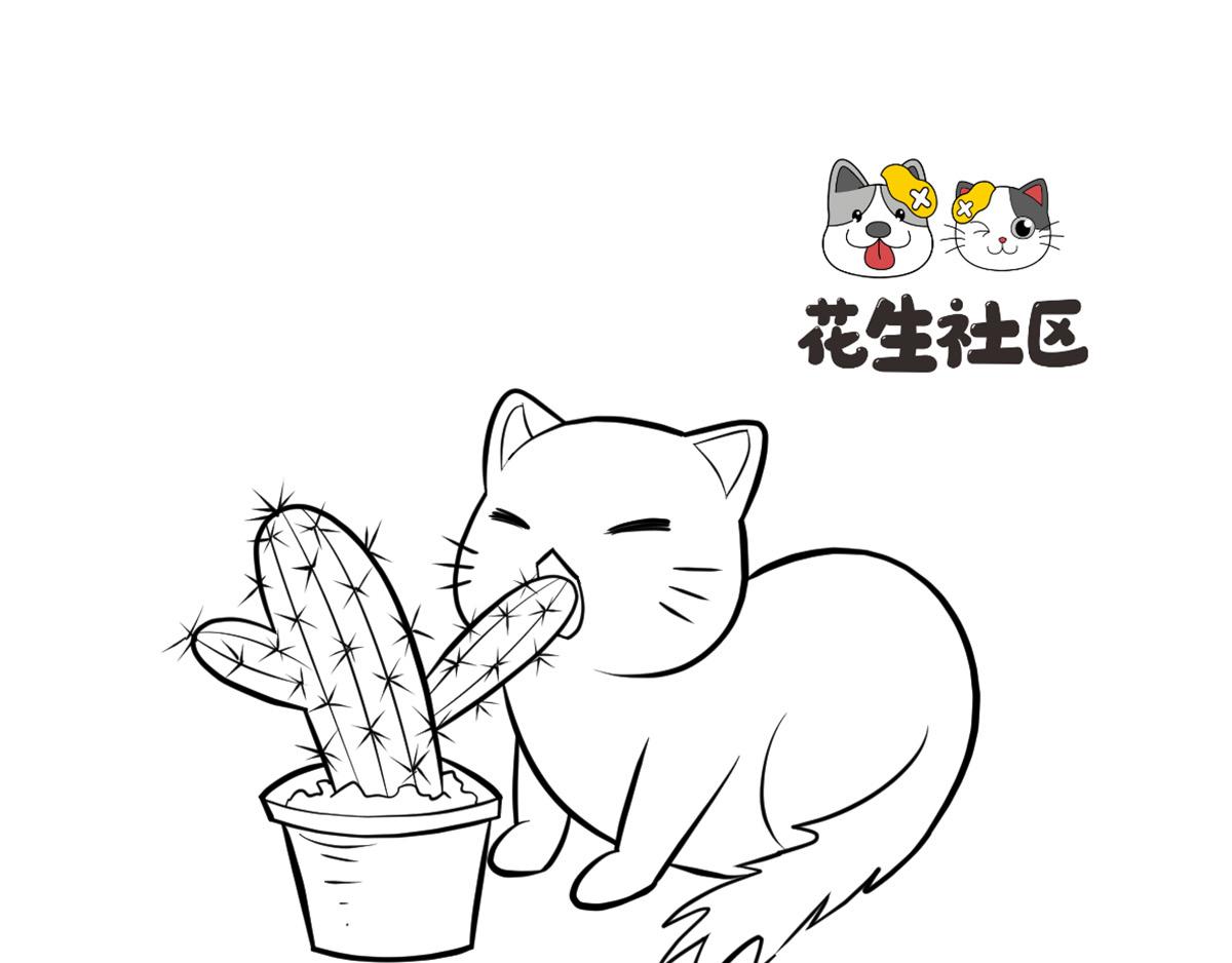 《花生社区》猫的作死等级（2） 第1页