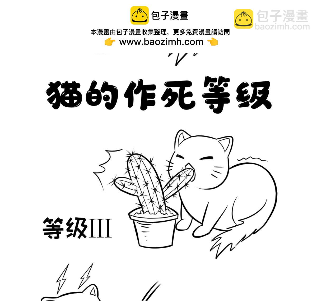 《花生社区》猫的作死等级（2） 第2页