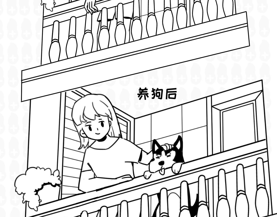 《花生社区》猫的作死等级（2） 第6页