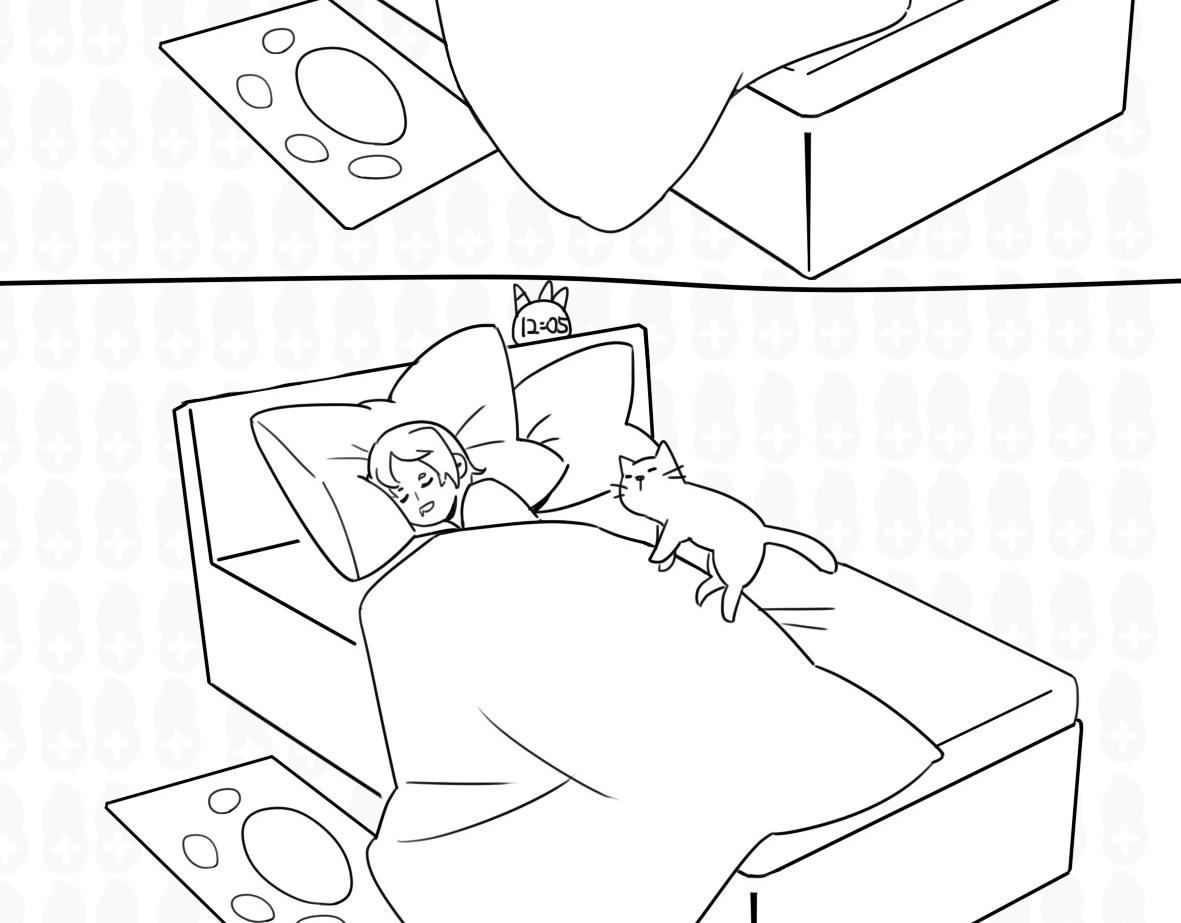 《花生社区》如果你的猫不见了... 第10页