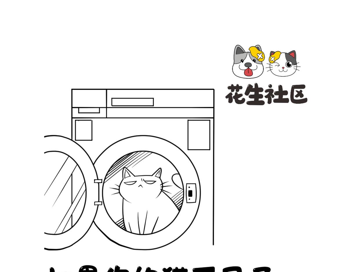 《花生社区》如果你的猫不见了... 第1页