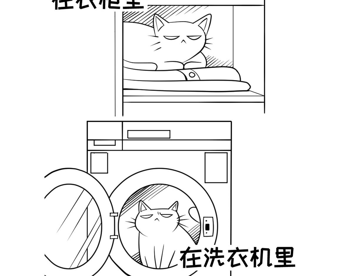 《花生社区》如果你的猫不见了... 第3页