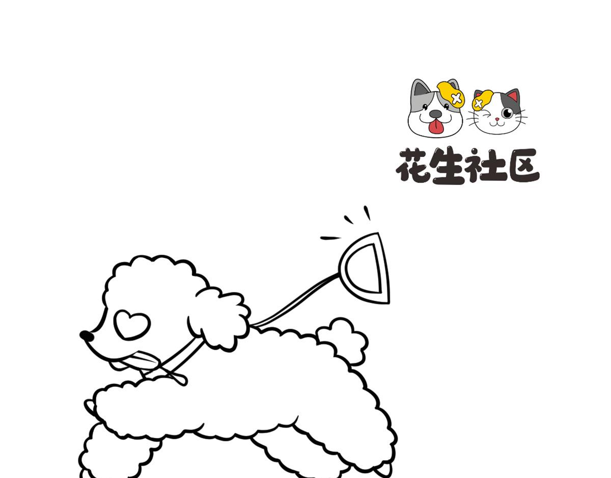 《花生社区》狗狗的作死等级 第1页