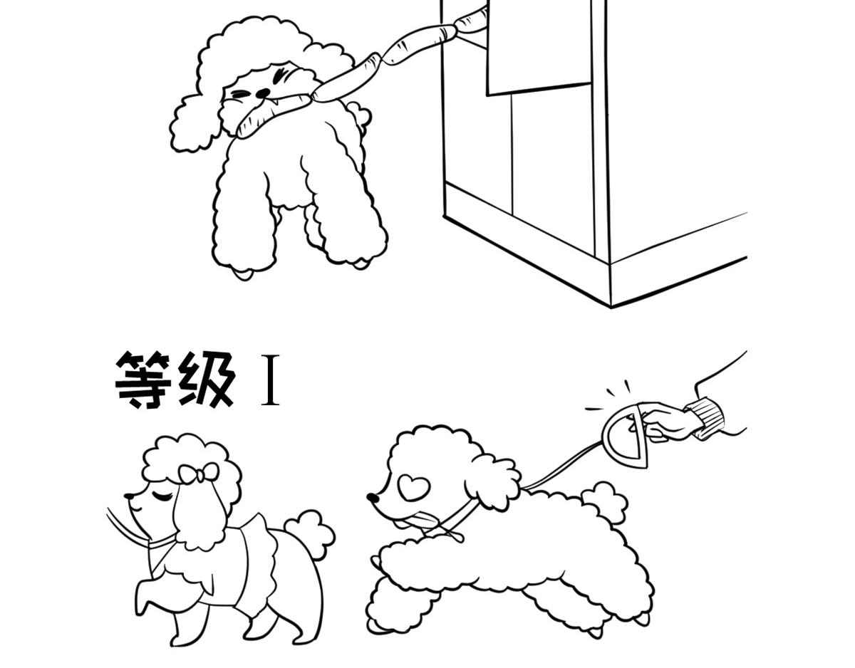 《花生社区》狗狗的作死等级 第3页