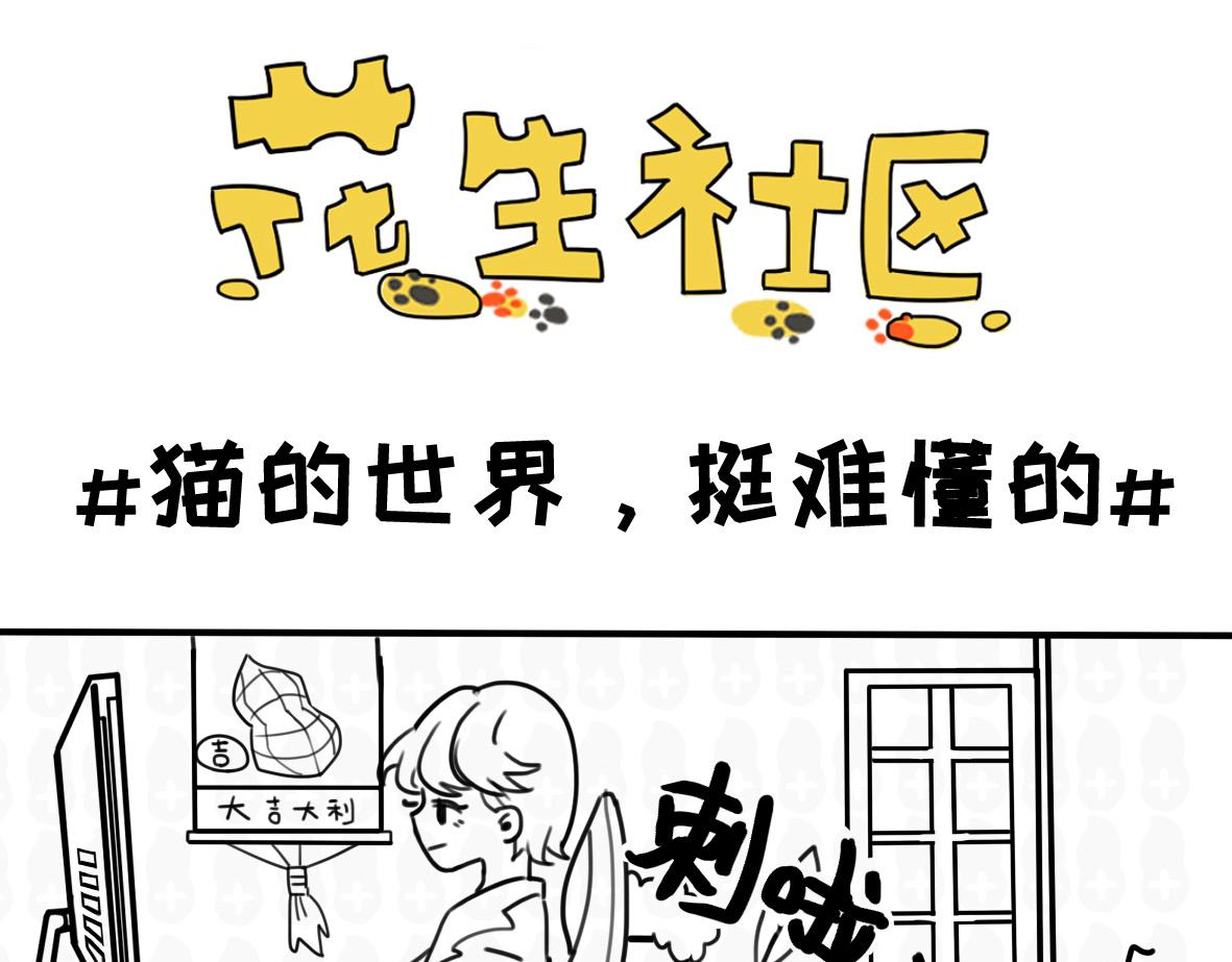 《花生社区》狗狗的作死等级 第5页
