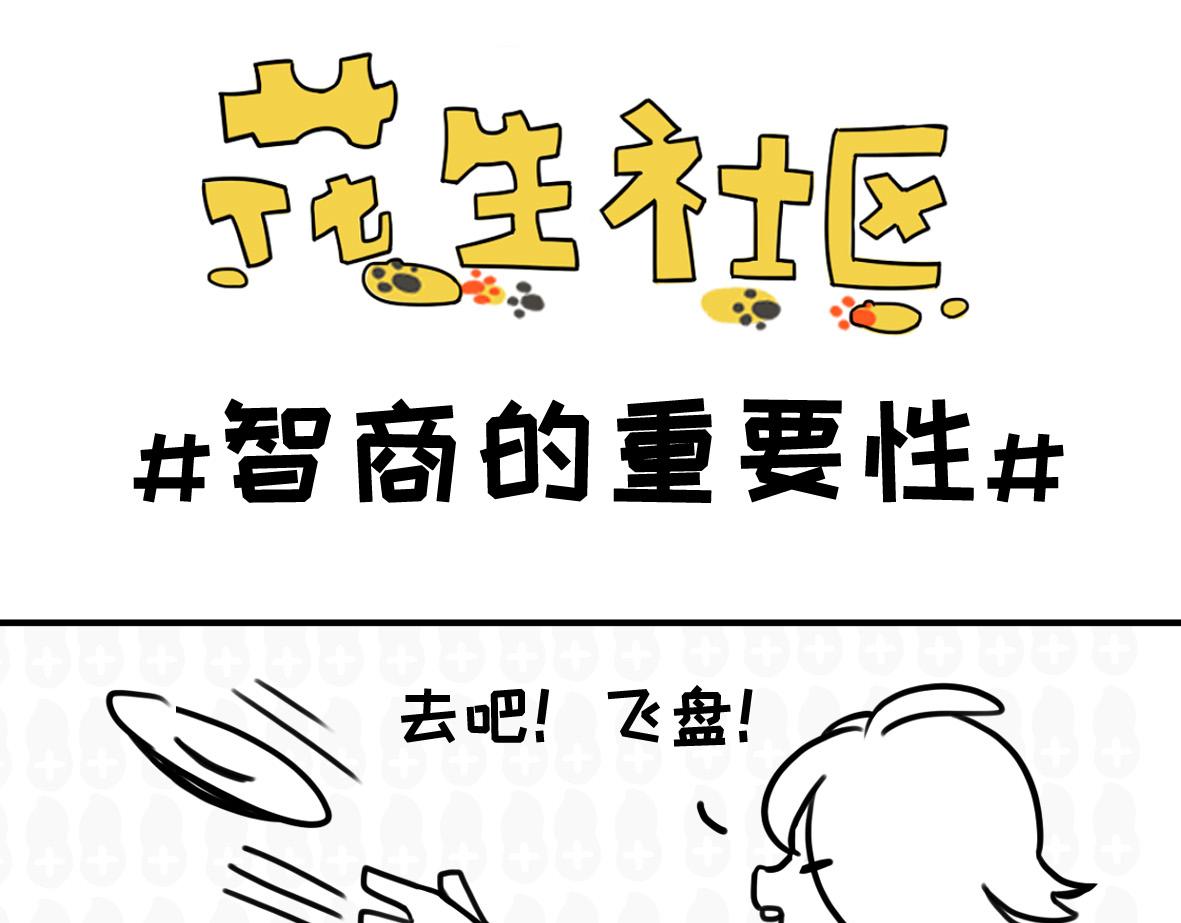 《花生社区》狗狗的作死等级 第9页