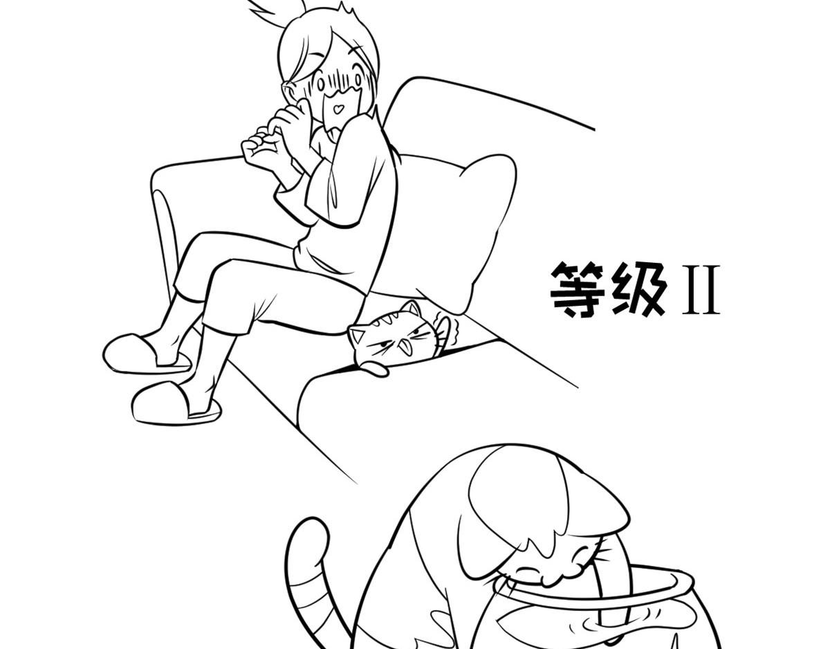 《花生社区》猫的作死等级（2） 第3页