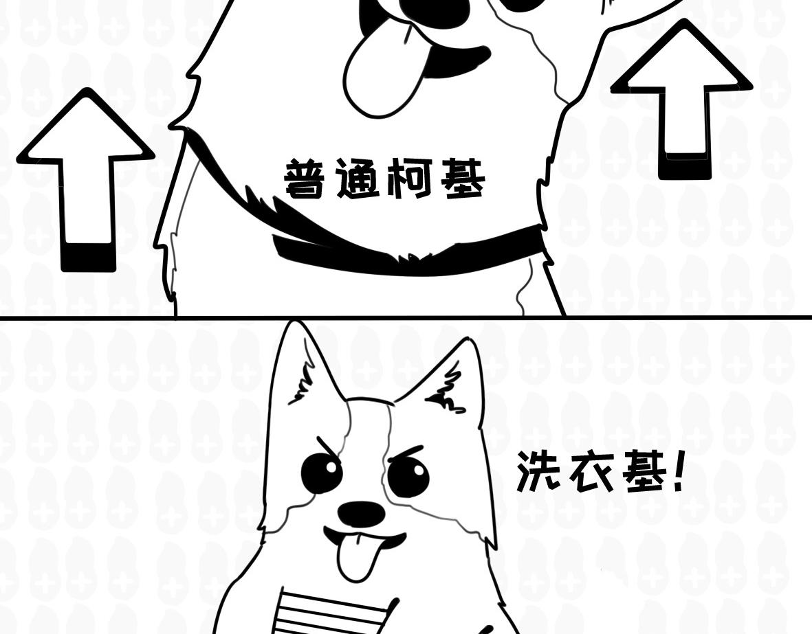 《花生社区》猫的作死等级（2） 第6页