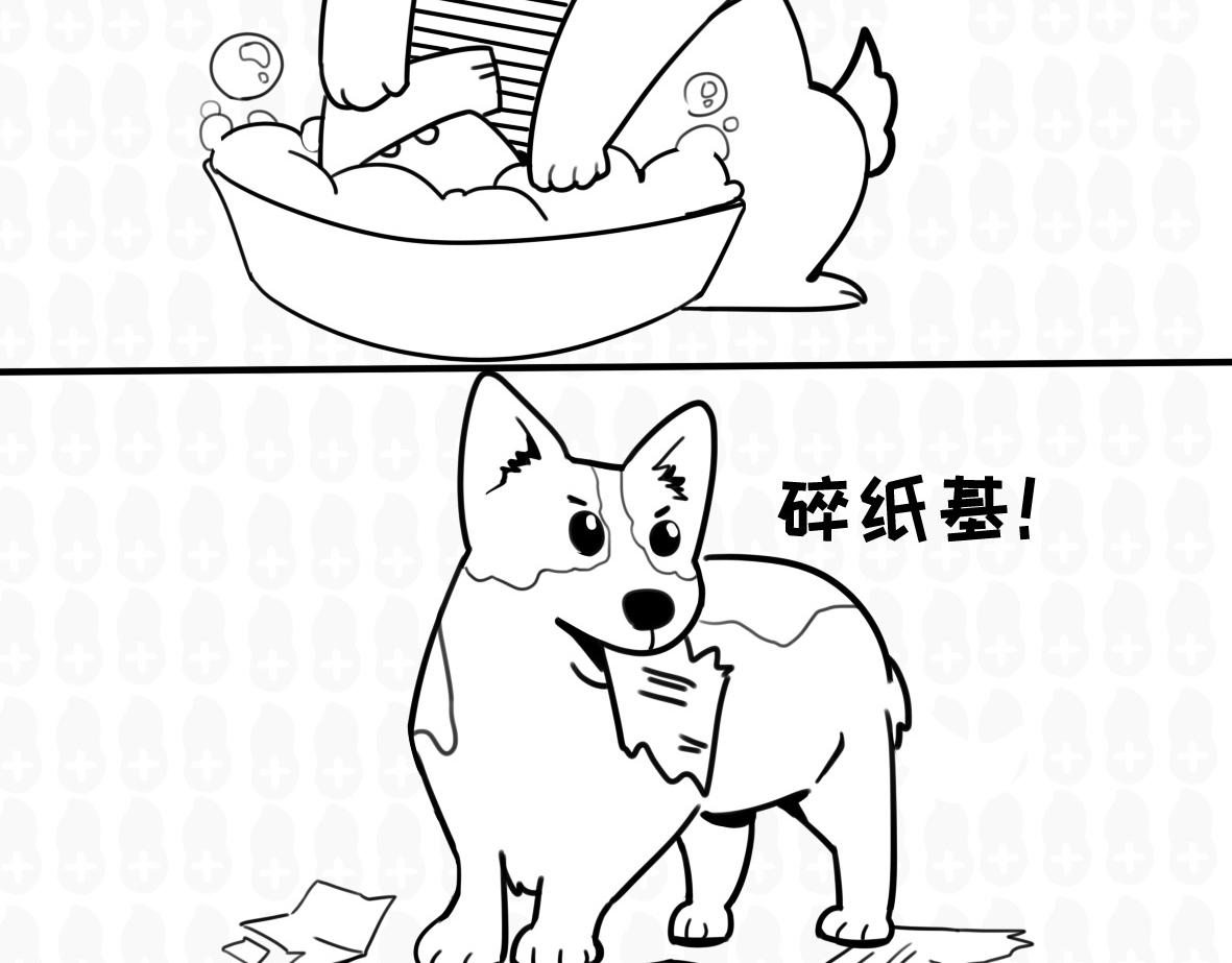 《花生社区》猫的作死等级（2） 第7页