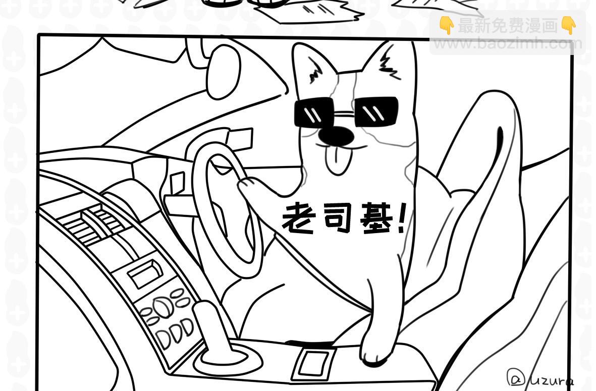 《花生社区》猫的作死等级（2） 第8页