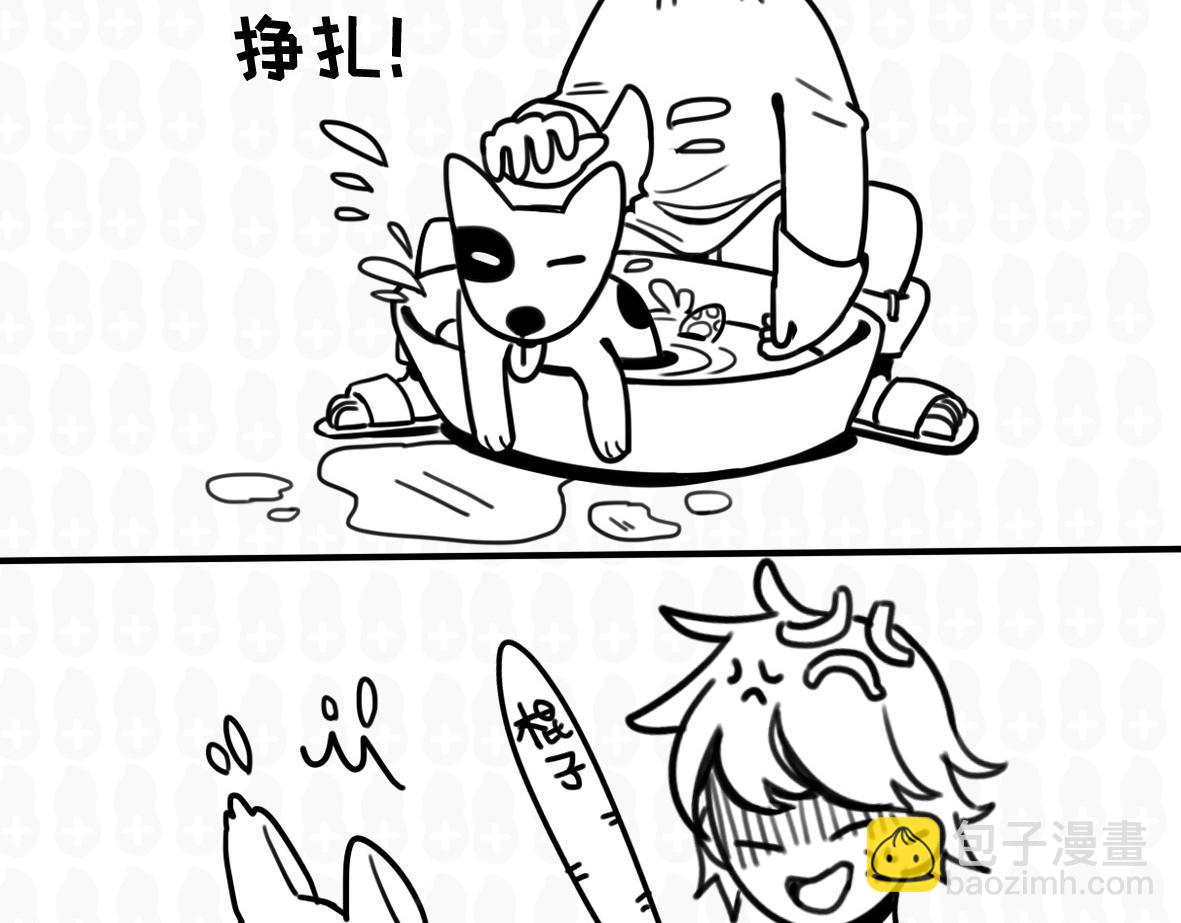 《花生社区》雪橇三傻为什么傻 第11页