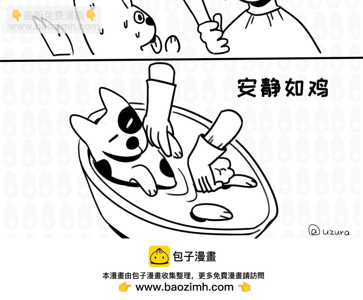 《花生社区》雪橇三傻为什么傻 第12页
