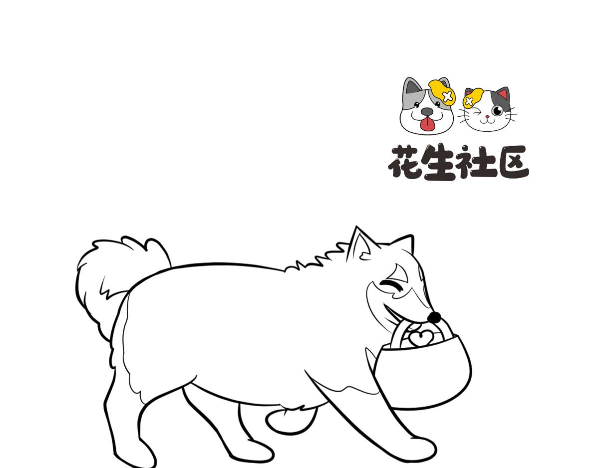 《花生社区》雪橇三傻为什么傻 第1页