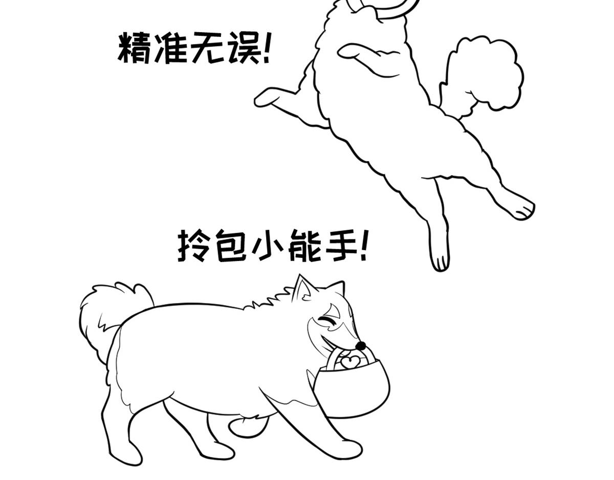 《花生社区》雪橇三傻为什么傻 第3页
