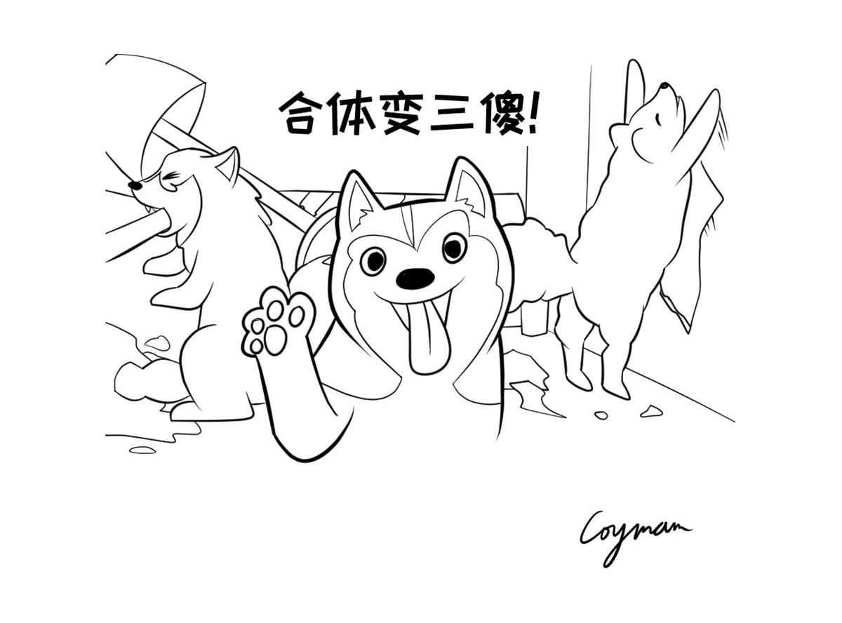 《花生社区》雪橇三傻为什么傻 第4页
