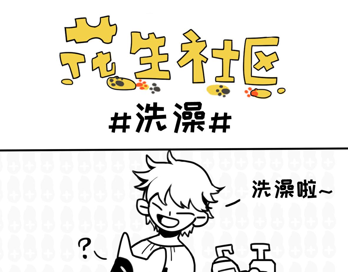 《花生社区》雪橇三傻为什么傻 第9页
