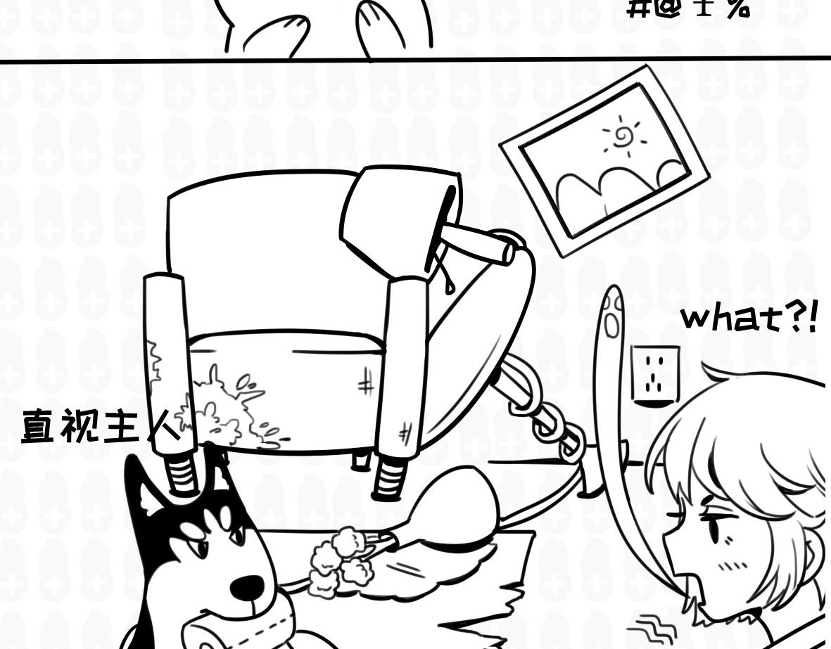 《花生社区》千万别喂路边的流浪狗 第11页