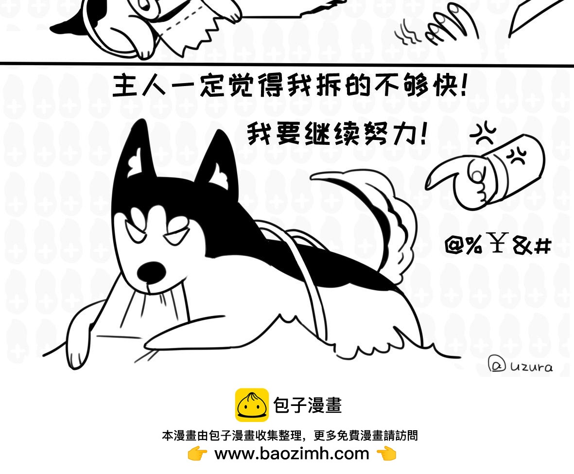 《花生社区》千万别喂路边的流浪狗 第12页