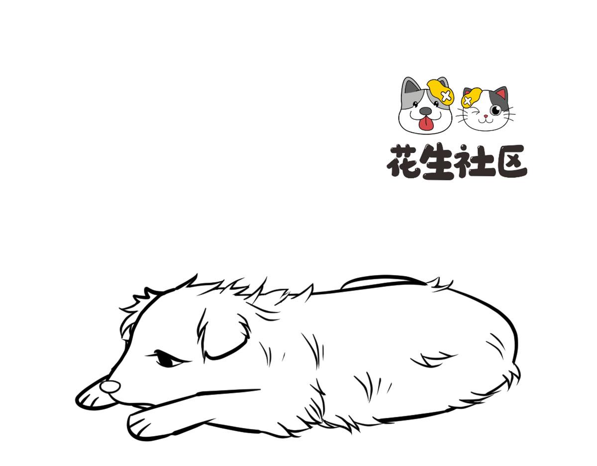《花生社区》千万别喂路边的流浪狗 第1页