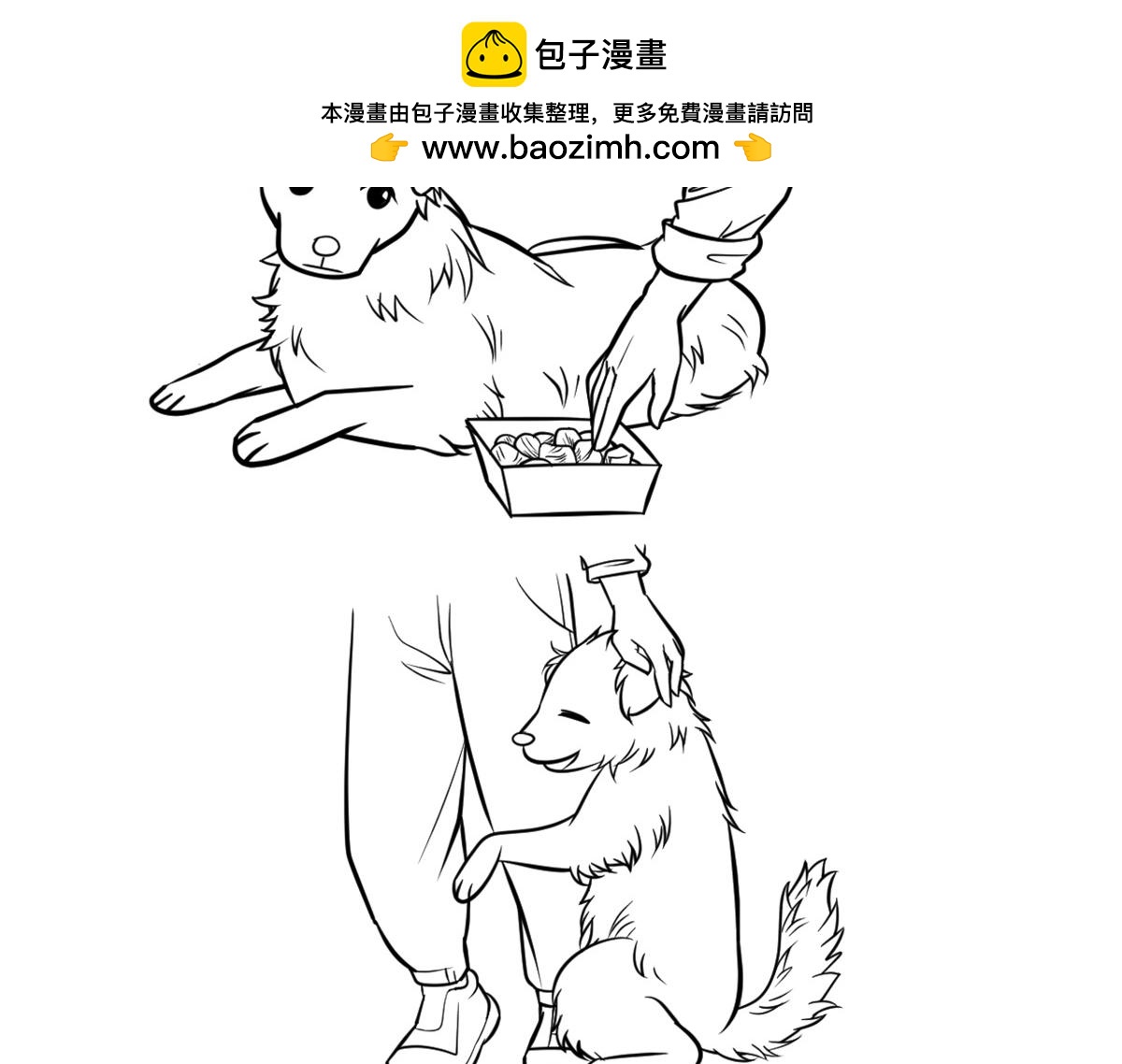 《花生社区》千万别喂路边的流浪狗 第3页