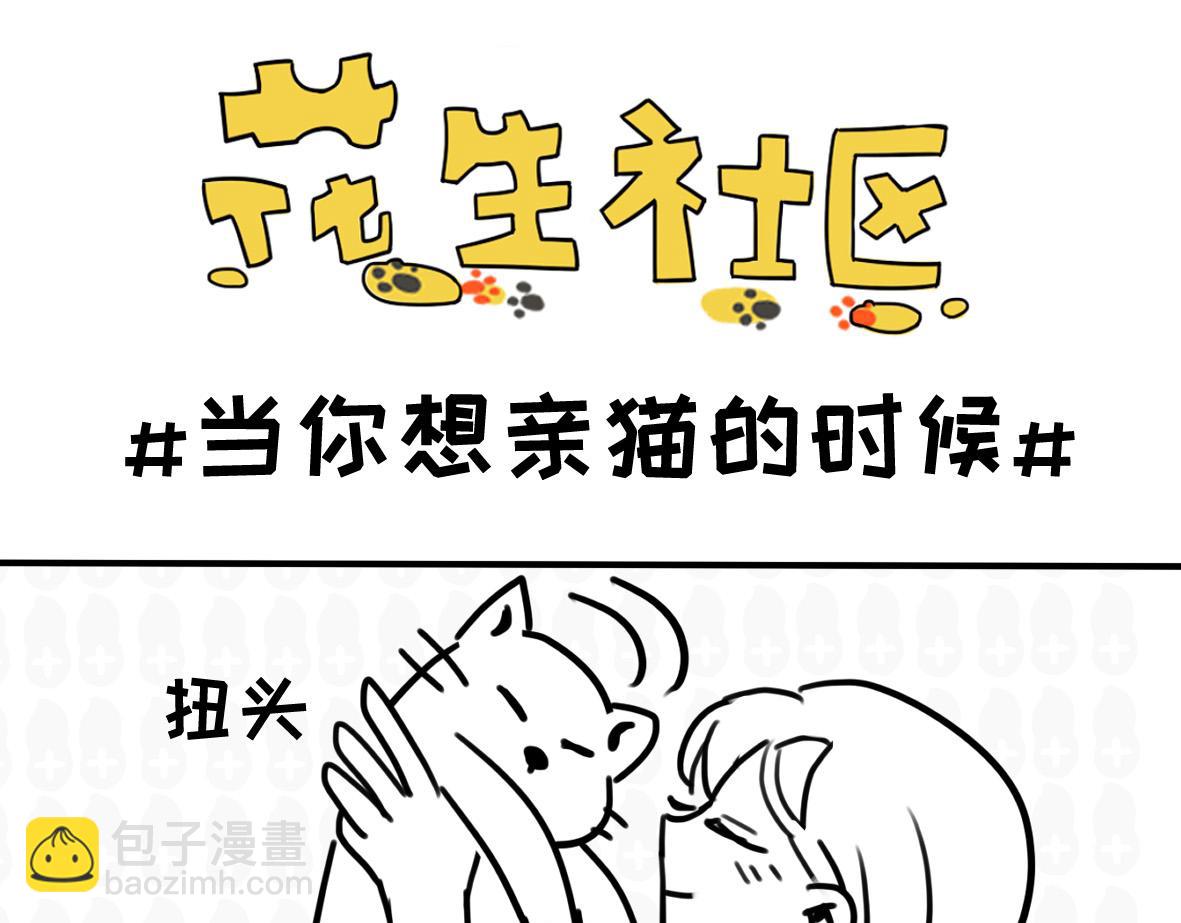 《花生社区》千万别喂路边的流浪狗 第5页