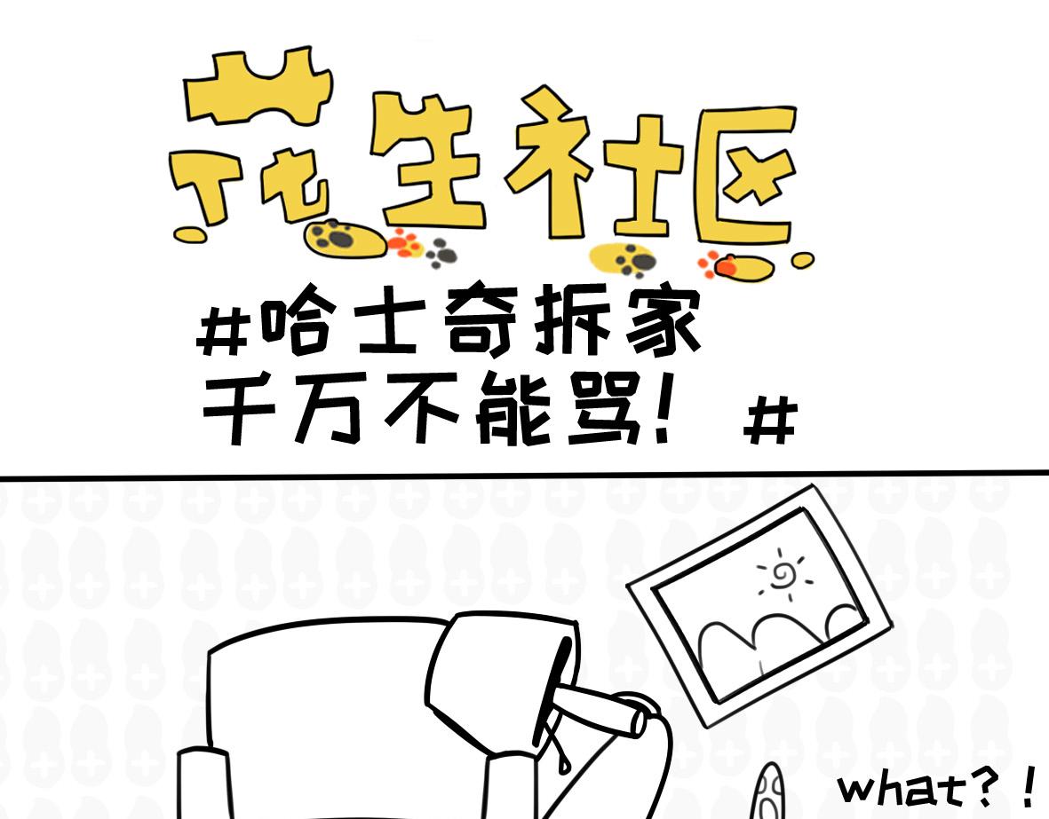 《花生社区》千万别喂路边的流浪狗 第9页