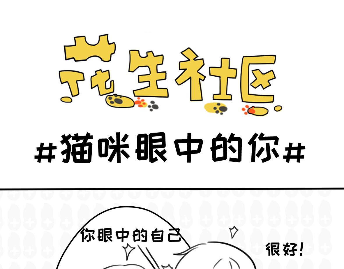 《花生社区》当家里来了新成员 第9页