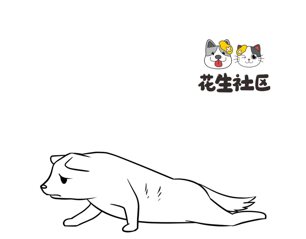 《花生社区》一只会演戏的狗子！ 第1页