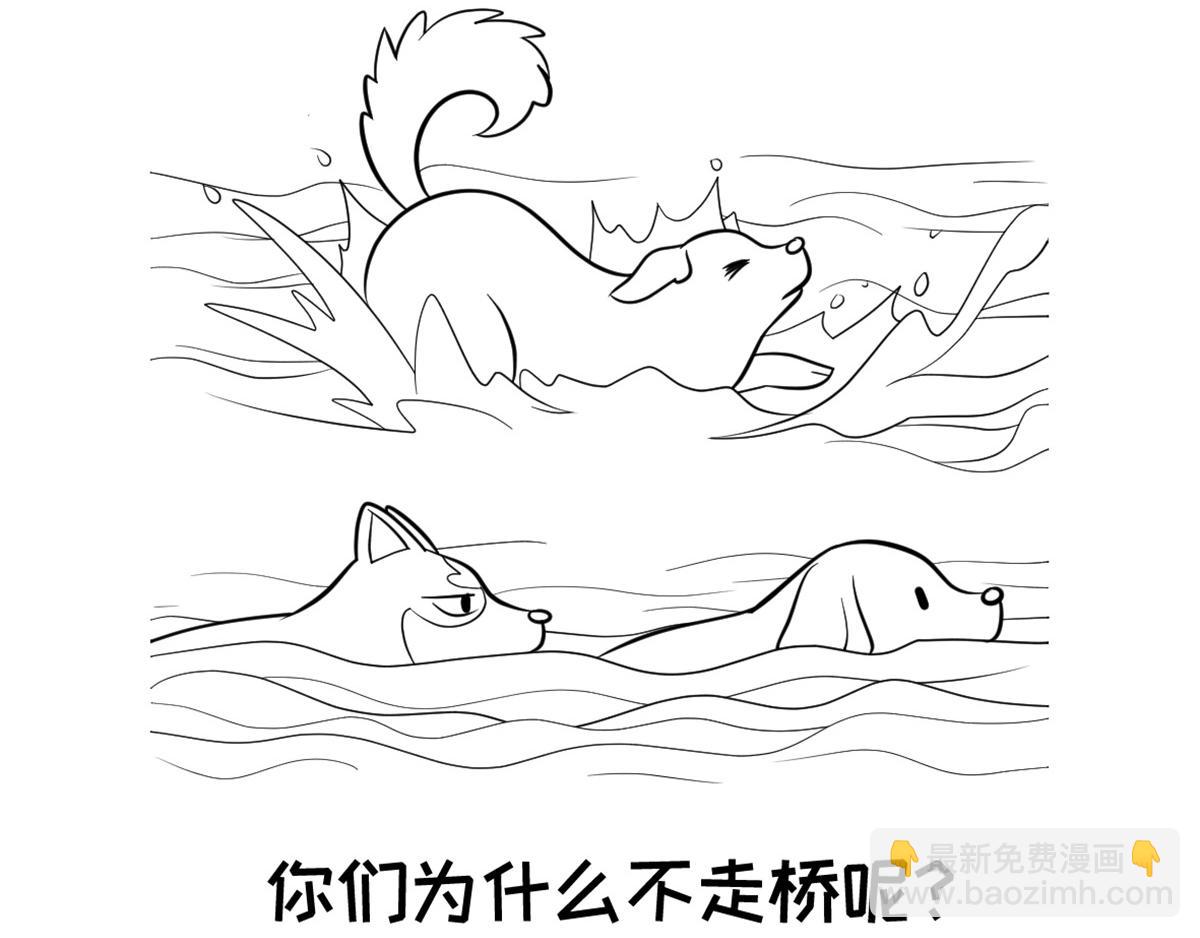 《花生社区》过河 第3页