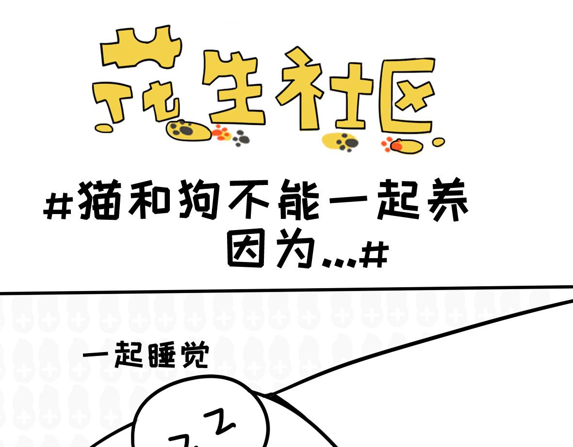 《花生社区》嫁祸！ 第5页