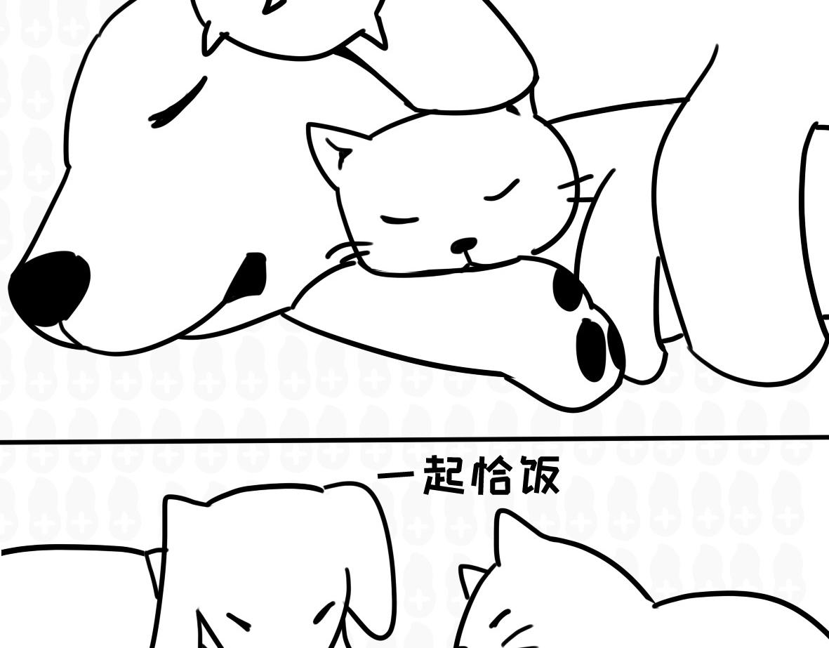 《花生社区》嫁祸！ 第6页