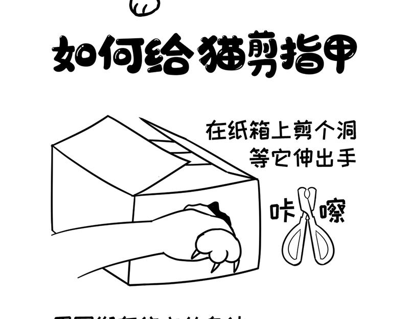 《花生社区》当首席试吃官变胖了！ 第10页