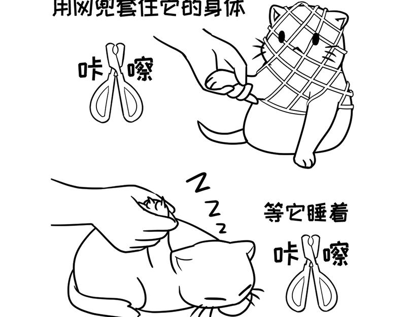 《花生社区》当首席试吃官变胖了！ 第11页
