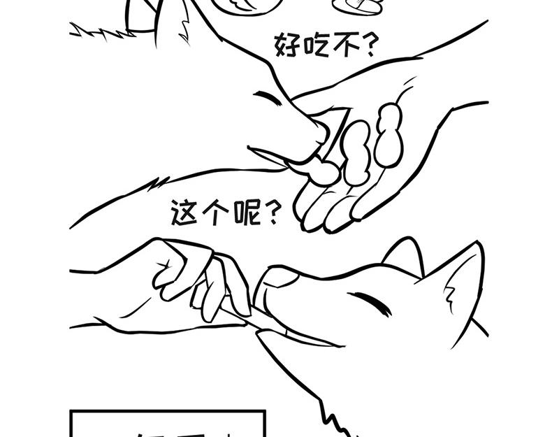 《花生社区》当首席试吃官变胖了！ 第3页