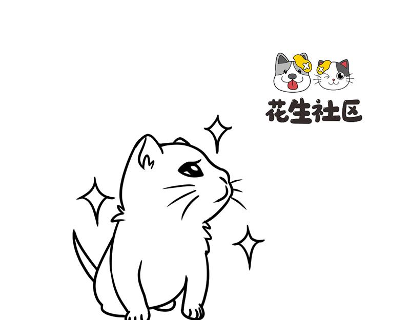 《花生社区》当首席试吃官变胖了！ 第5页