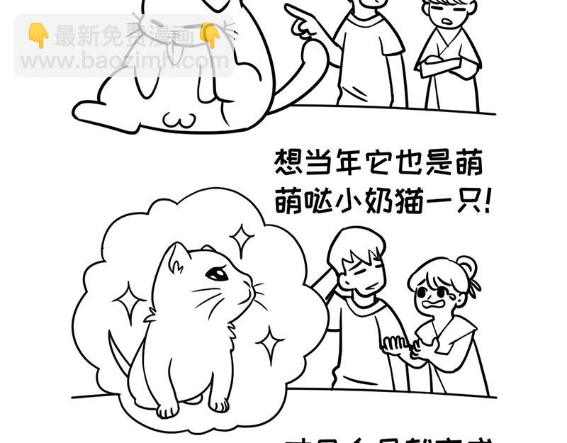 《花生社区》当首席试吃官变胖了！ 第7页