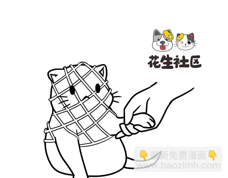 《花生社区》当首席试吃官变胖了！ 第9页