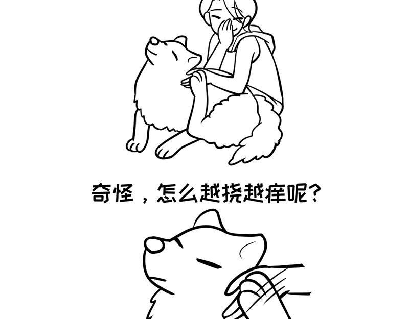 《花生社区》当高考真的来了！ 第11页