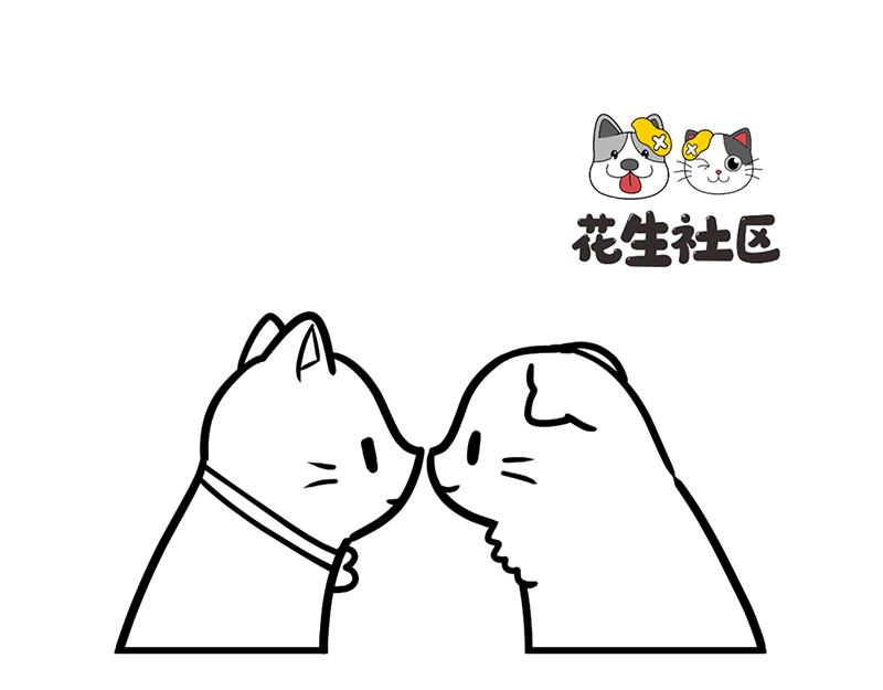 《花生社区》当高考真的来了！ 第5页