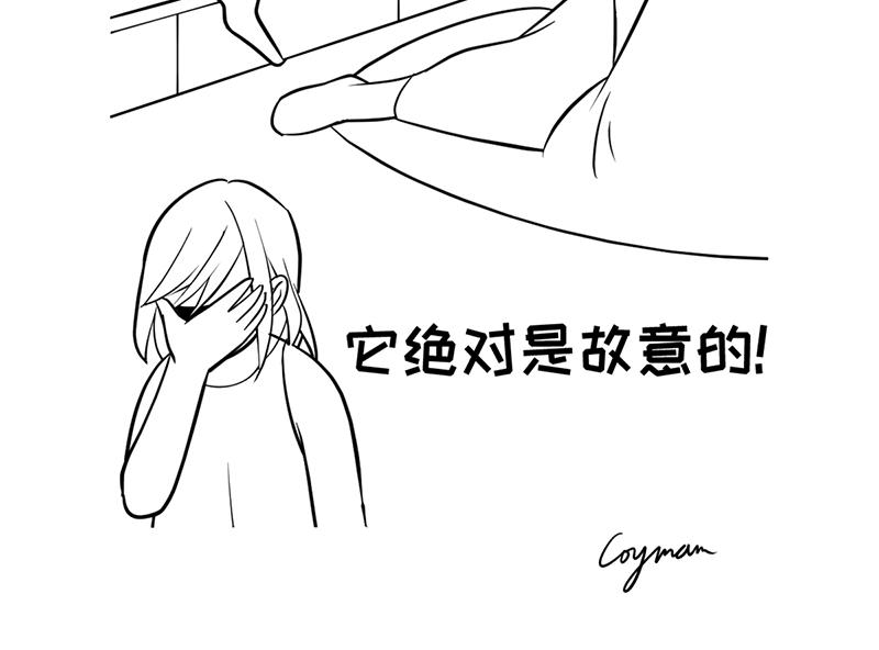 《花生社区》喵大人的挑食让人忍无可忍！ 第12页