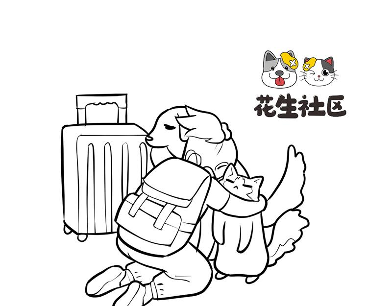 《花生社区》喵大人的挑食让人忍无可忍！ 第13页