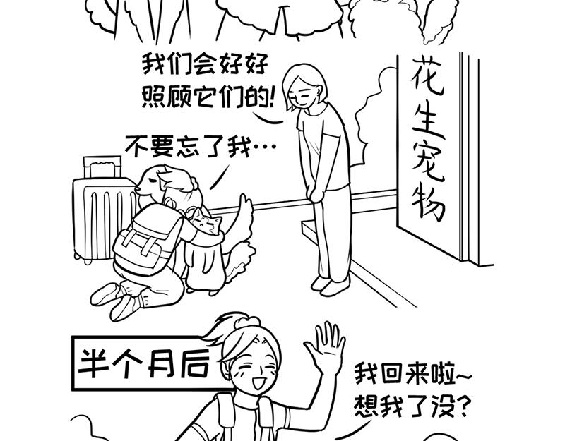 《花生社区》喵大人的挑食让人忍无可忍！ 第15页