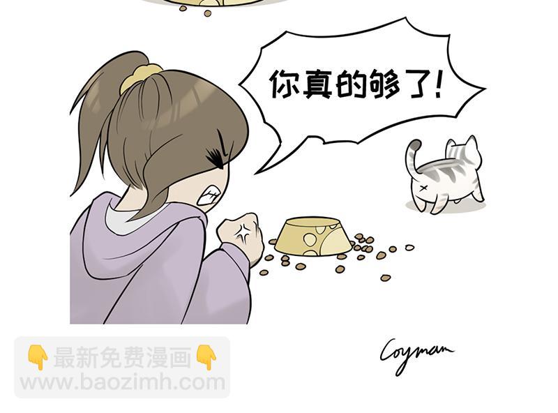 《花生社区》喵大人的挑食让人忍无可忍！ 第4页