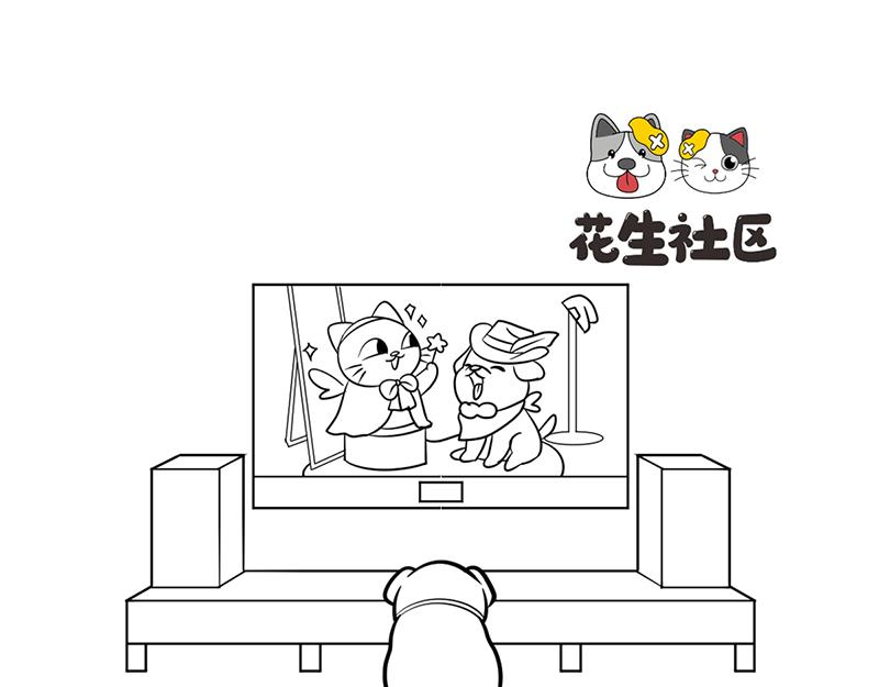 《花生社区》喵大人的挑食让人忍无可忍！ 第5页