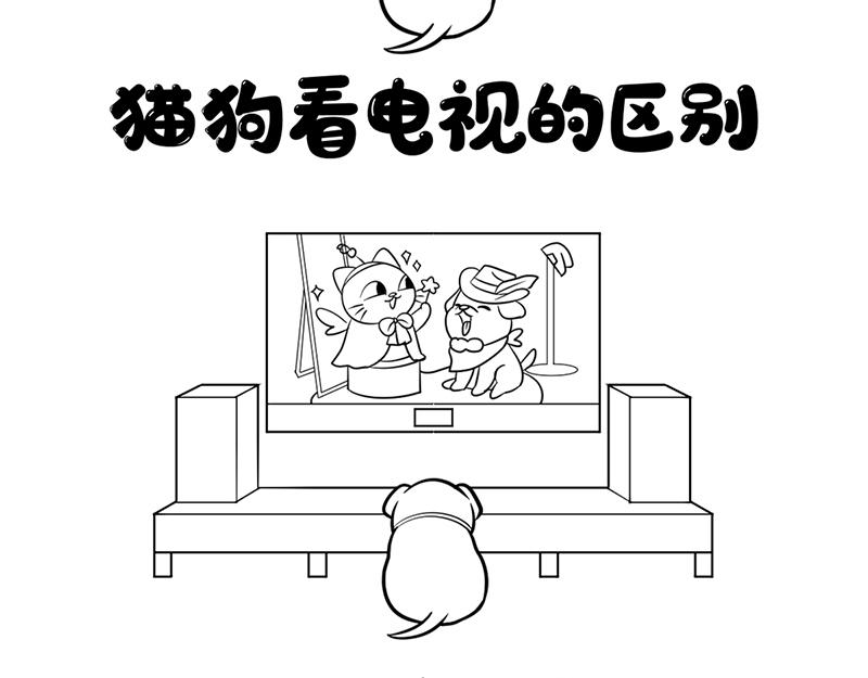 《花生社区》喵大人的挑食让人忍无可忍！ 第6页
