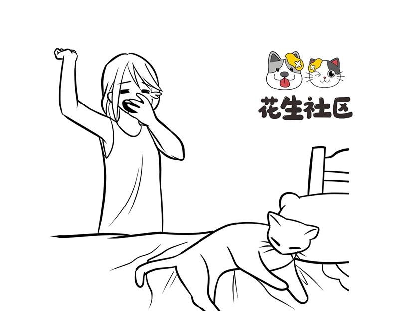 《花生社区》喵大人的挑食让人忍无可忍！ 第9页
