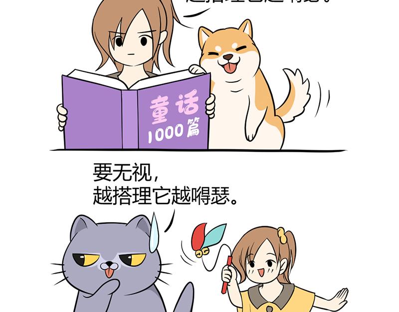 《花生社区》阿喵的作战计划！ 第10页