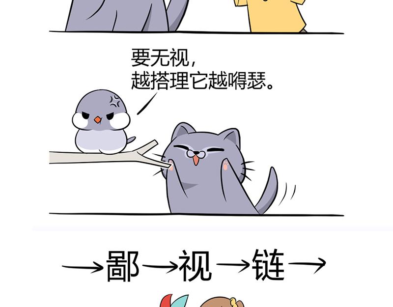 《花生社区》阿喵的作战计划！ 第11页